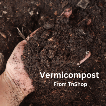 Give Your Plants a Natural Boost: Unleash the Power of Vermicompost from TnShop